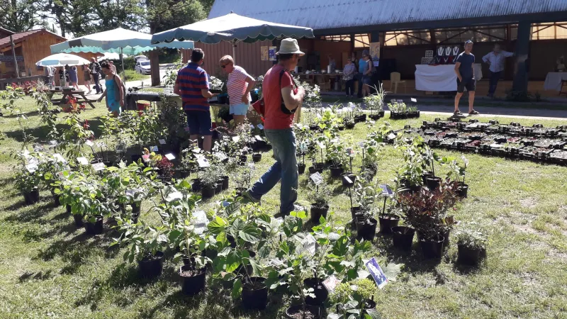 25 octobre 2020, Marché d'automne aux arbres et plantes vivaces de la naute, Champagnat (23) Visuel